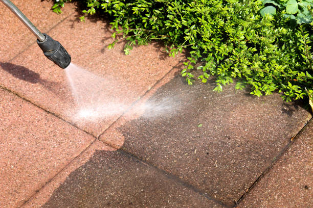 Best Best Pressure Washing Companies  in Westfield Center, OH
